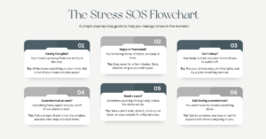 Stress SOS Flowchart showing practical stress management techniques South Africa readers can use for racing thoughts, anger, sleeplessness, and feeling overwhelmed // Health Some More